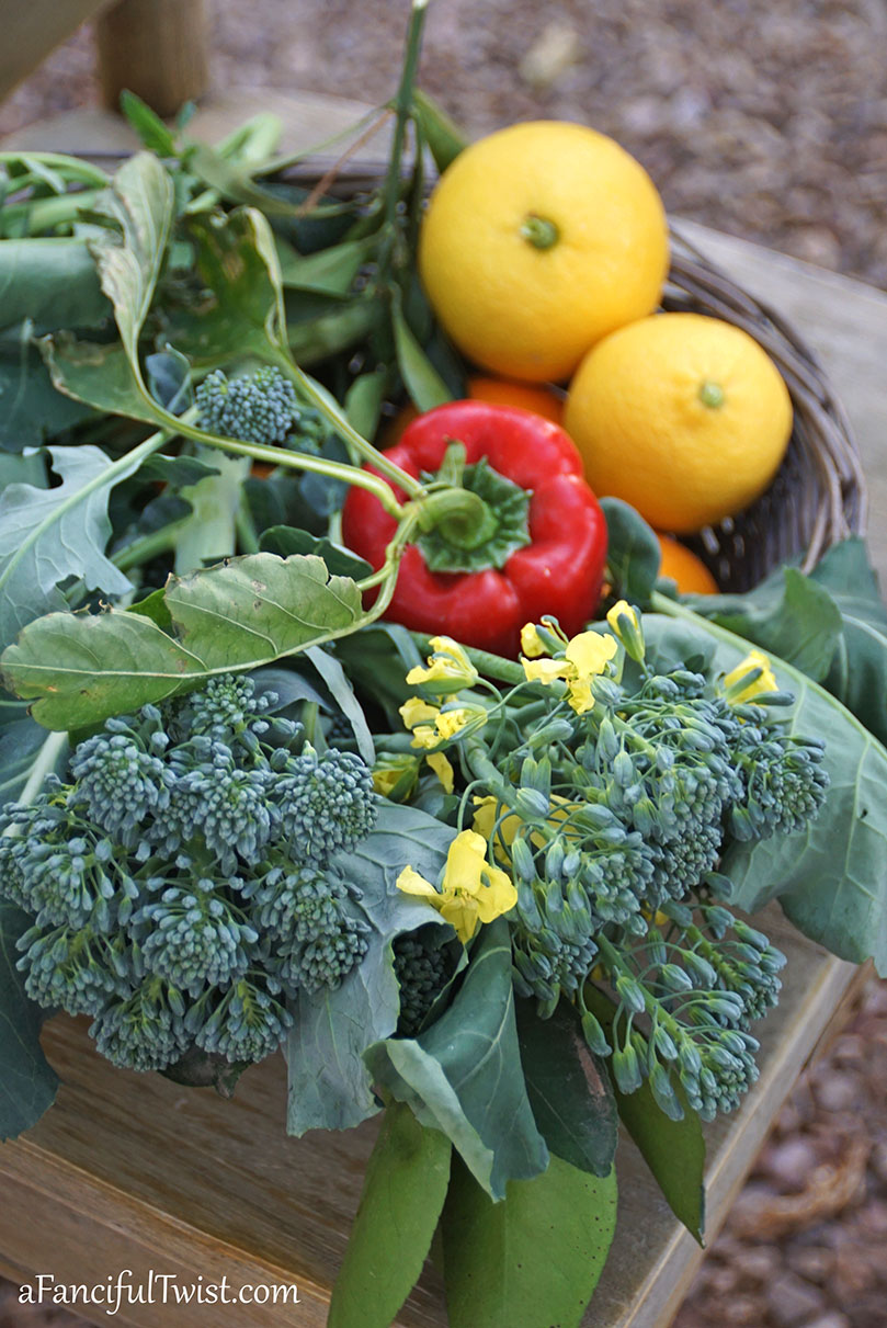 Winter garden 19 Winter garden 19