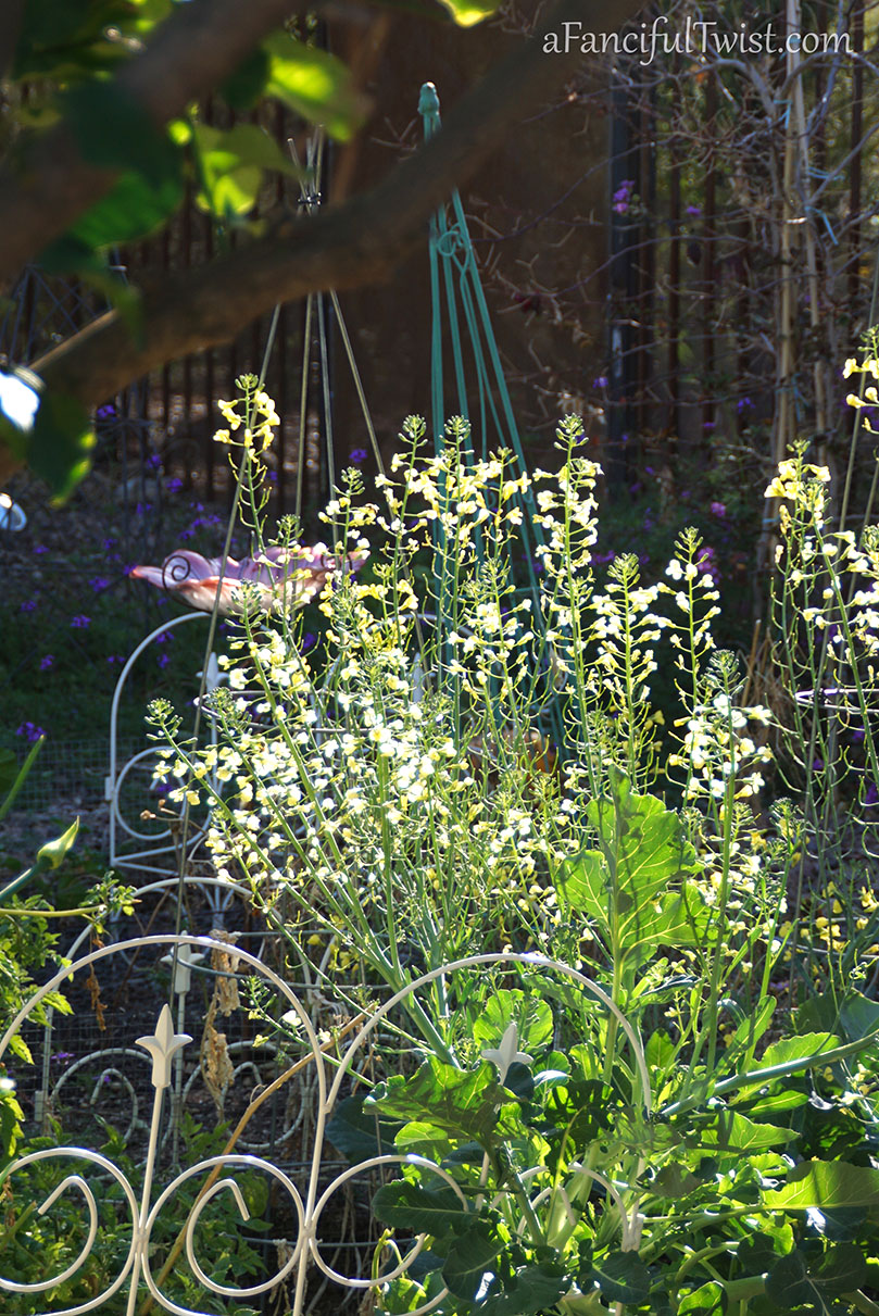 Apple spring 14 Apple spring 14