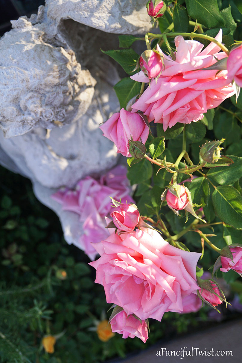 Cottage core dreams 8 Cottage core dreams 8