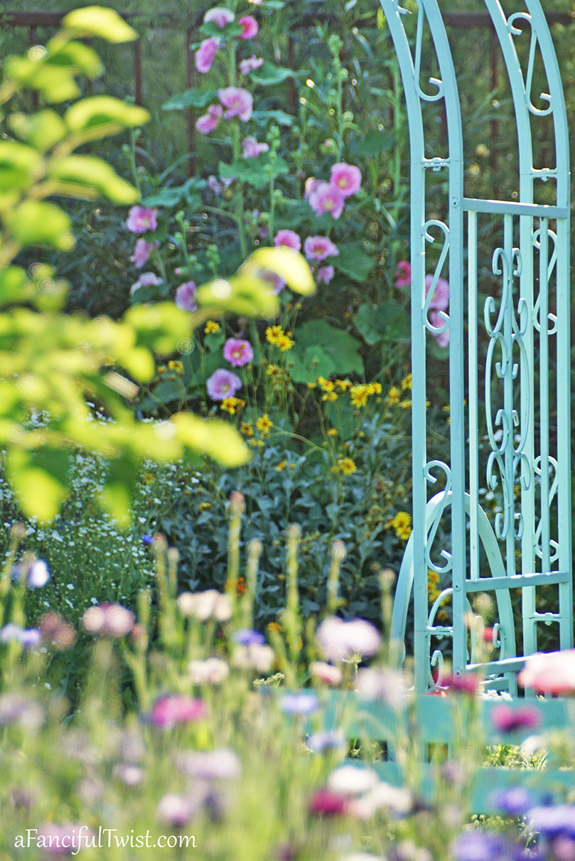 Secret garden 20 Secret garden 20