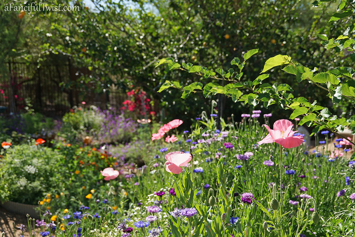 Secret garden 39 Secret garden 39