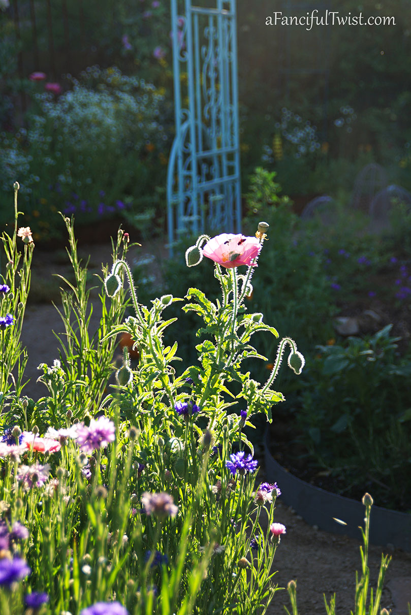 Secret garden 8 Secret garden 8