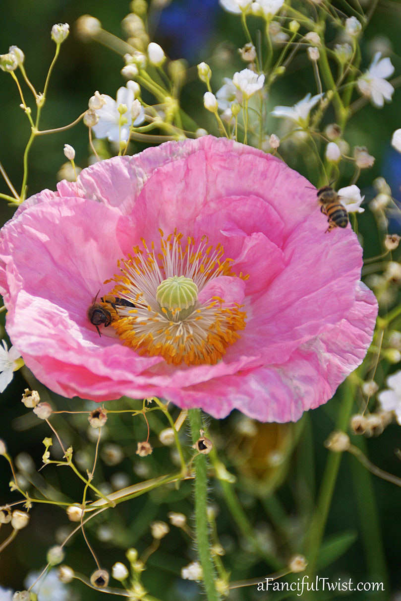 Vintage summer 3 Vintage summer 3