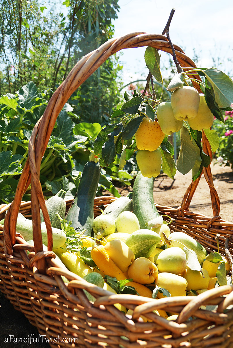 Welcome july 10 Welcome july 10