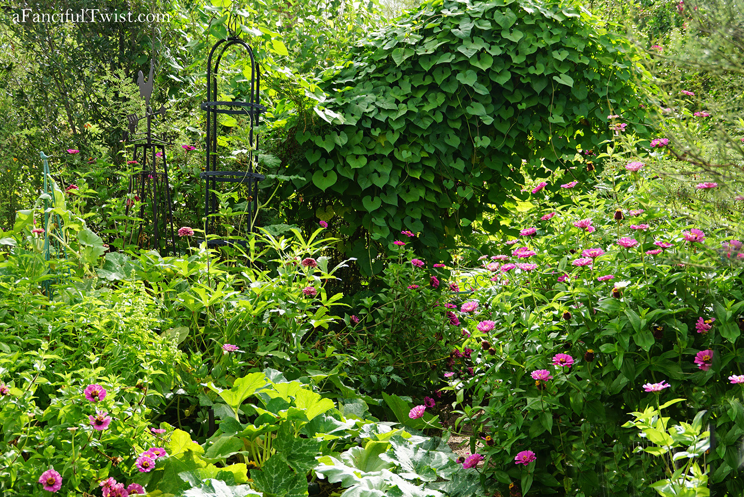 Studio and garden 17 Studio and garden 17