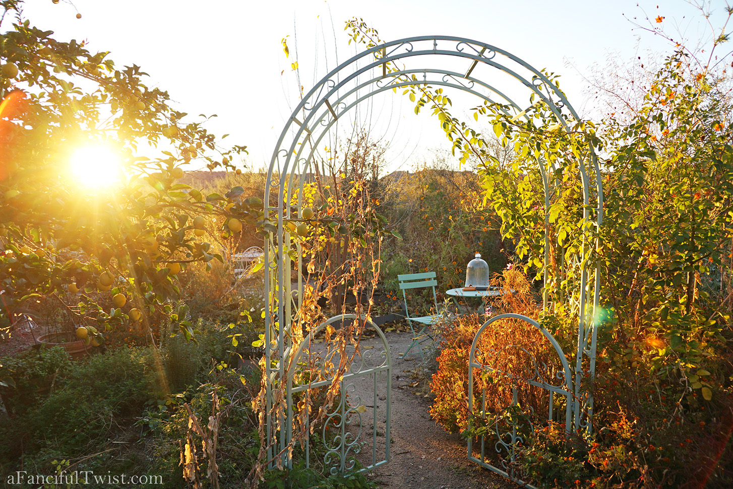 New year 5 New year 5