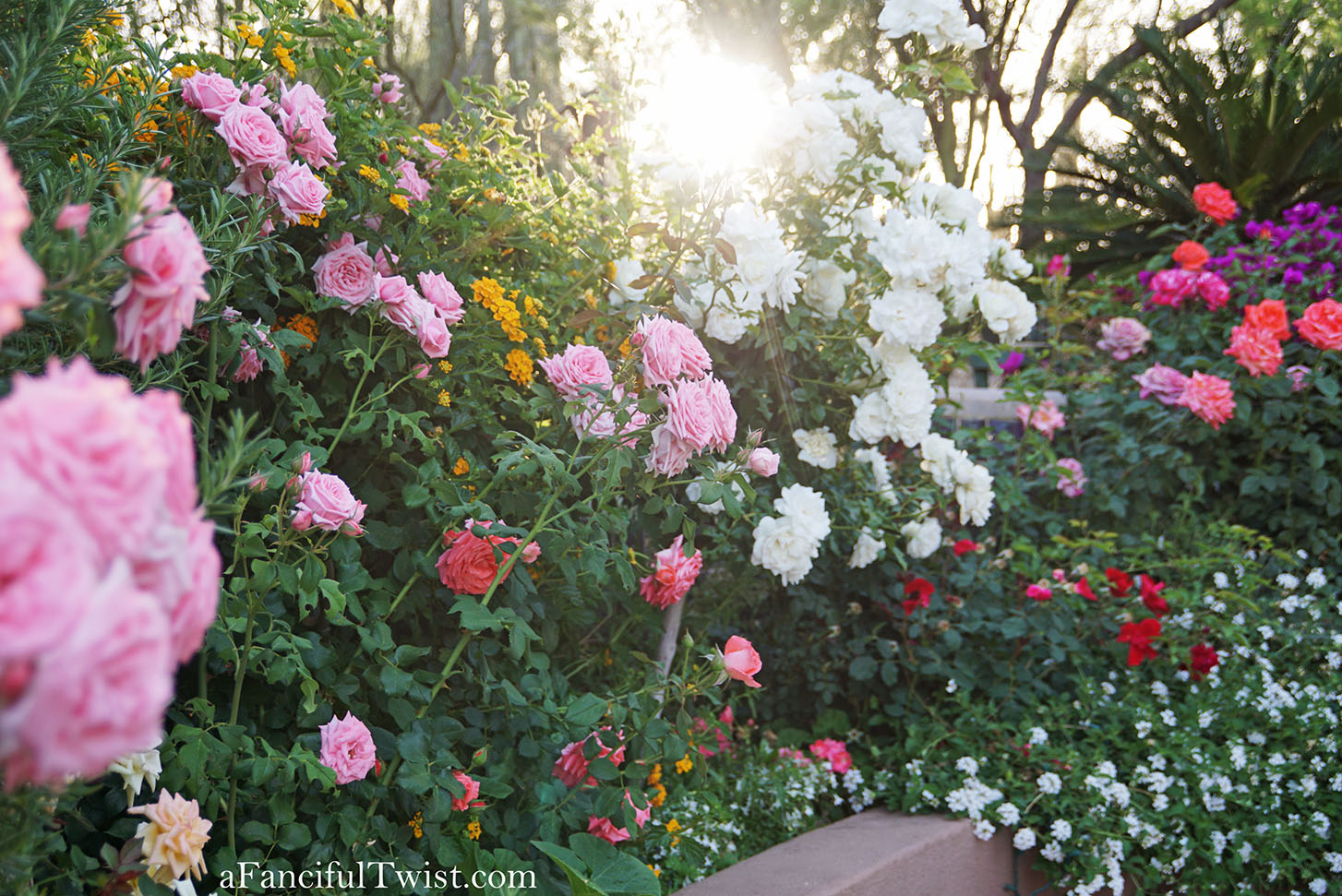 Magical garden days 2 Magical garden days 2