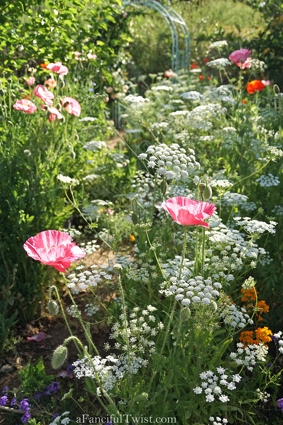 Magical garden days 3 Magical garden days 3