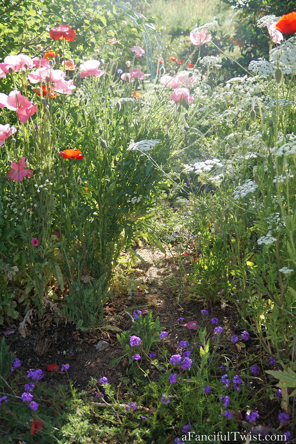 Magical garden days 17 Magical garden days 17