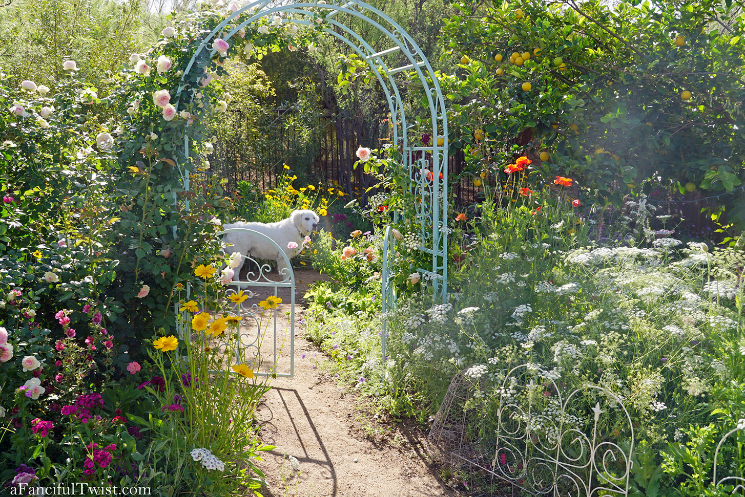 Magical garden days 27 Magical garden days 27