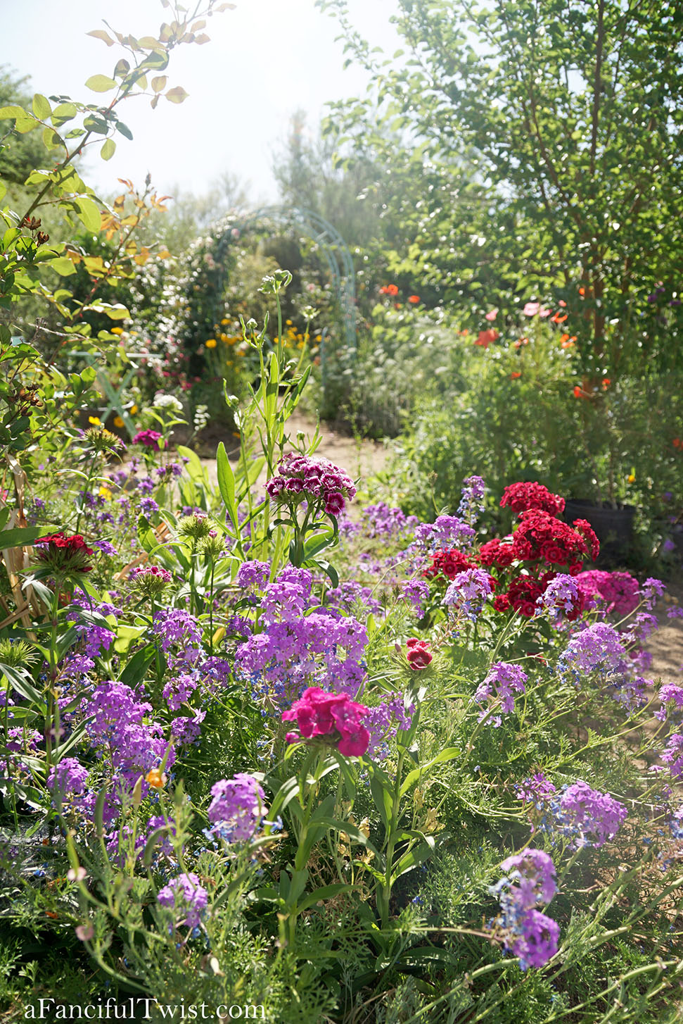 Magical garden days 43 Magical garden days 43