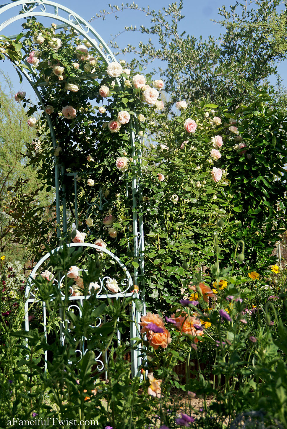 Magical garden days 29 Magical garden days 29