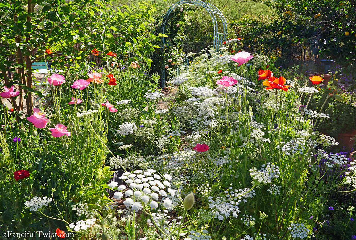 Magical garden days 4 Magical garden days 4