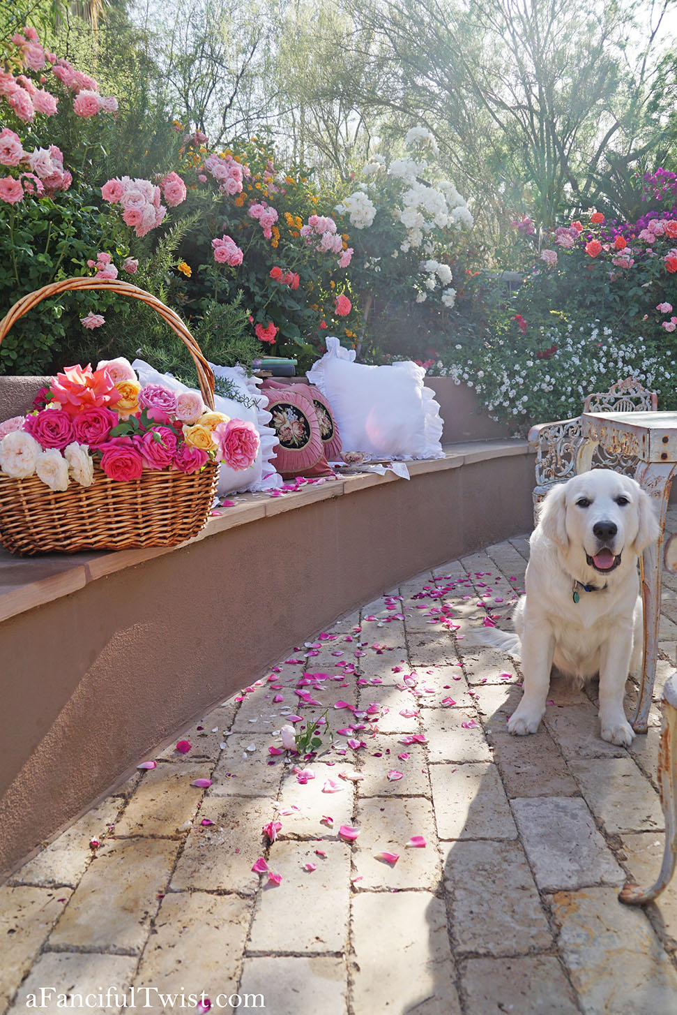 Magical garden days 10 Magical garden days 10