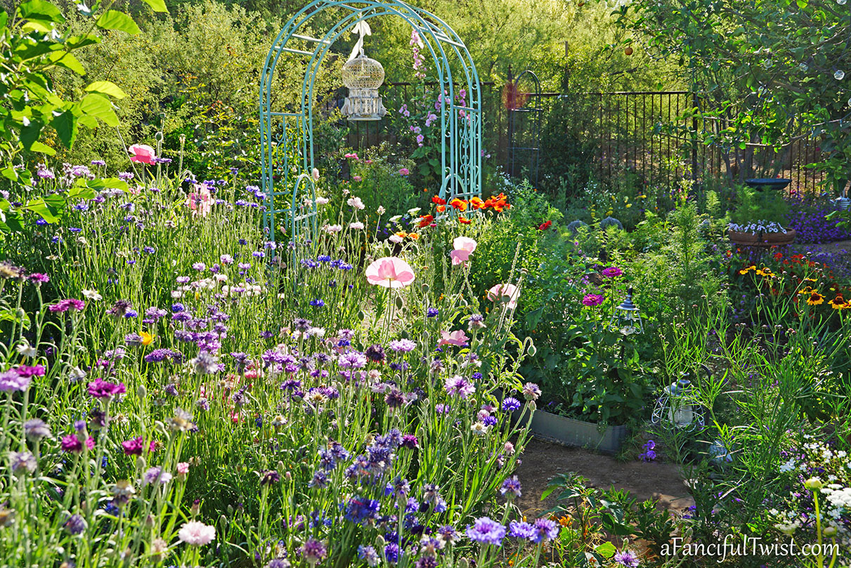 Secret garden 49 Secret garden 49