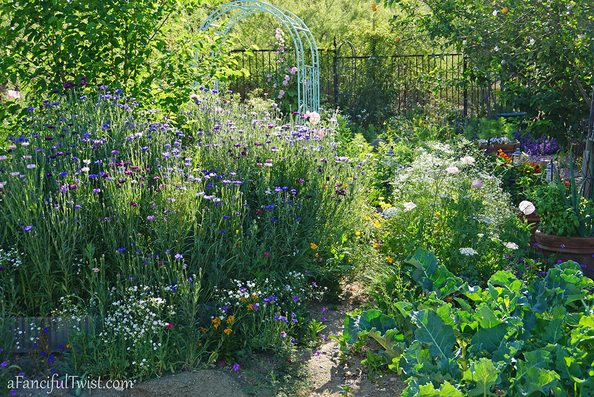 Secret garden 37 Secret garden 37