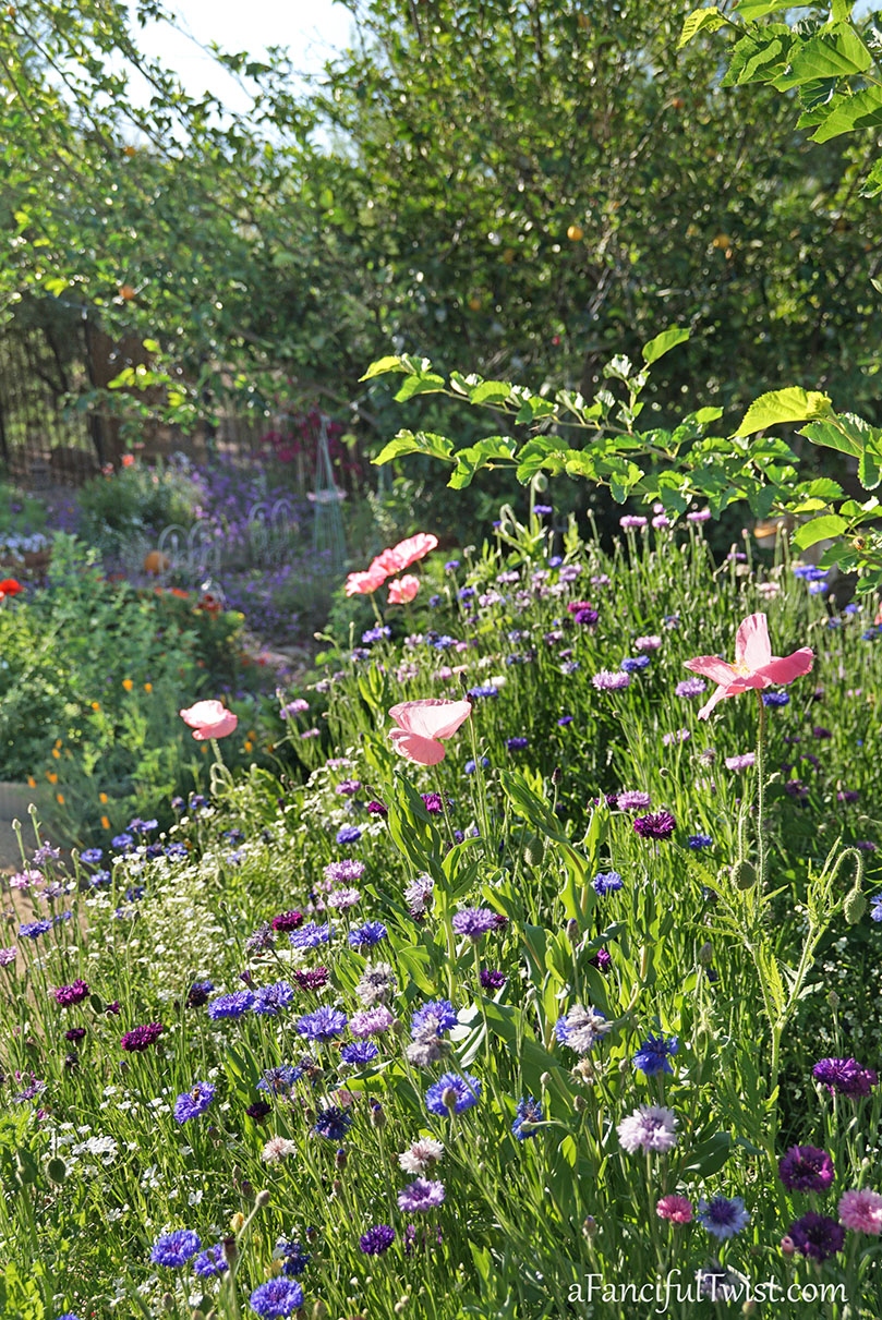 Secret garden 29 Secret garden 29