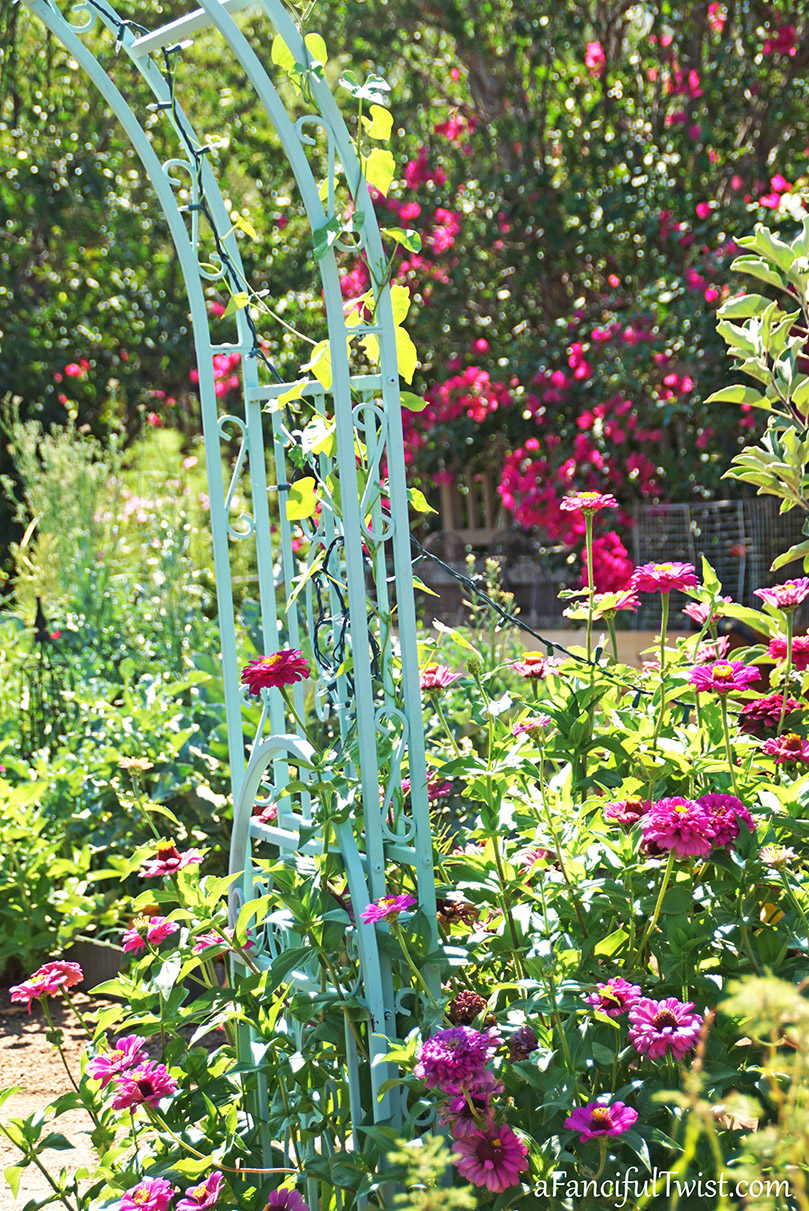 Welcome july 5 Welcome july 5