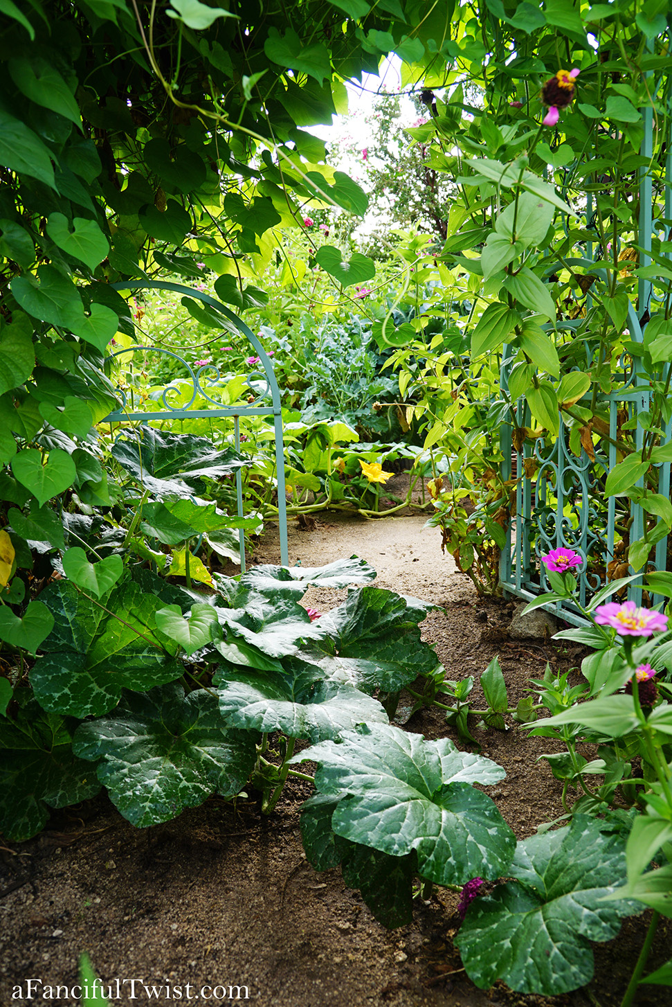 Studio and garden 20 Studio and garden 20