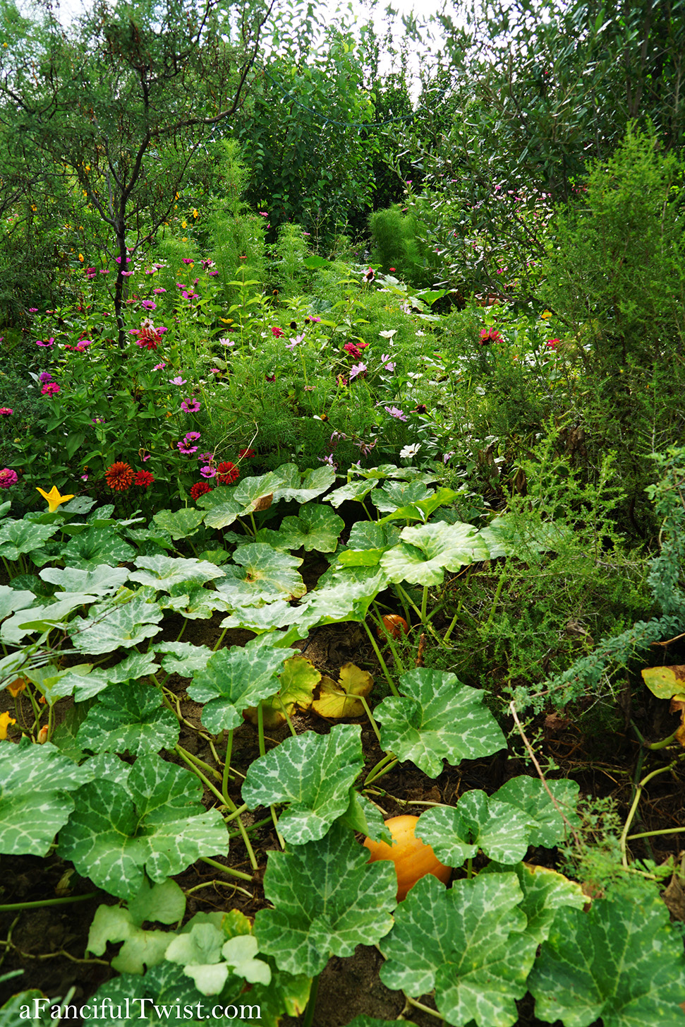 Studio and garden 15 Studio and garden 15