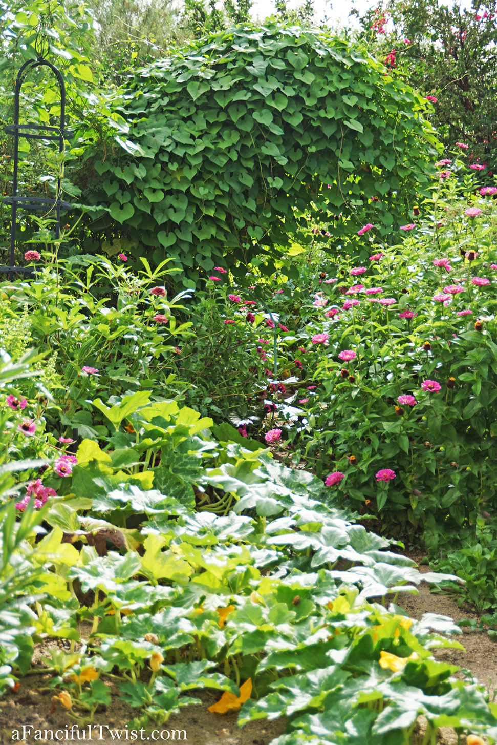 Studio and garden 10 Studio and garden 10