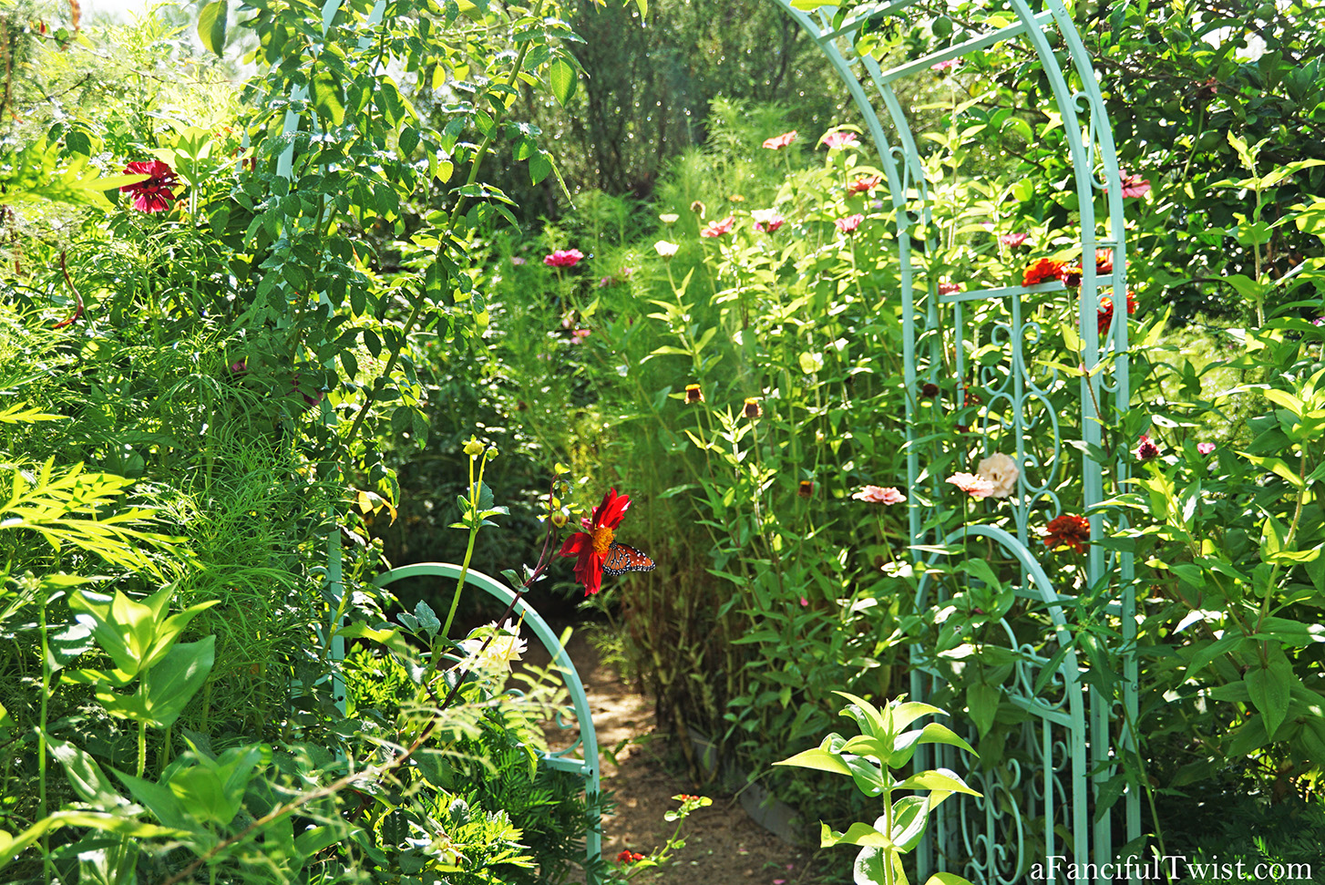 Studio and garden 24 Studio and garden 24