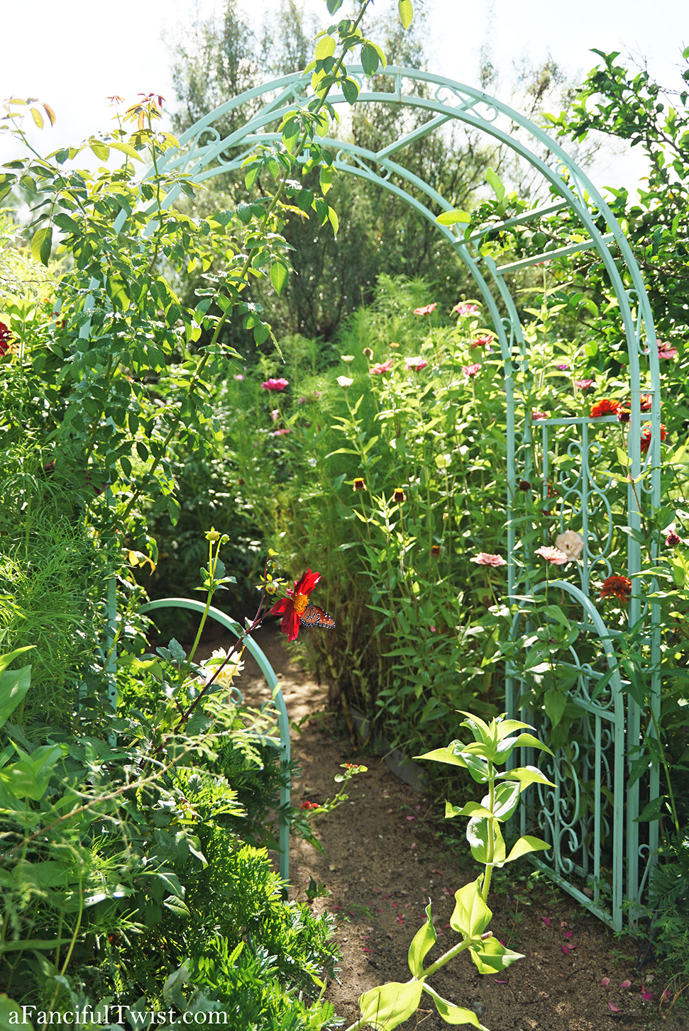 Studio and garden 25 Studio and garden 25