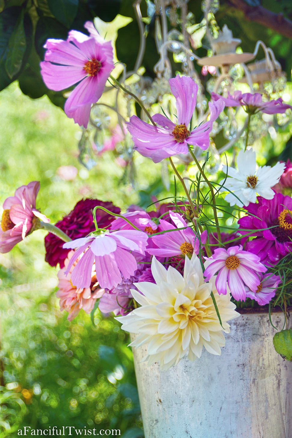 Studio blossoms 2 Studio blossoms 2