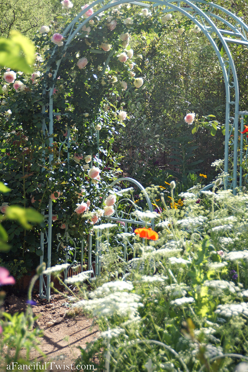 Magical garden days 22 Magical garden days 22