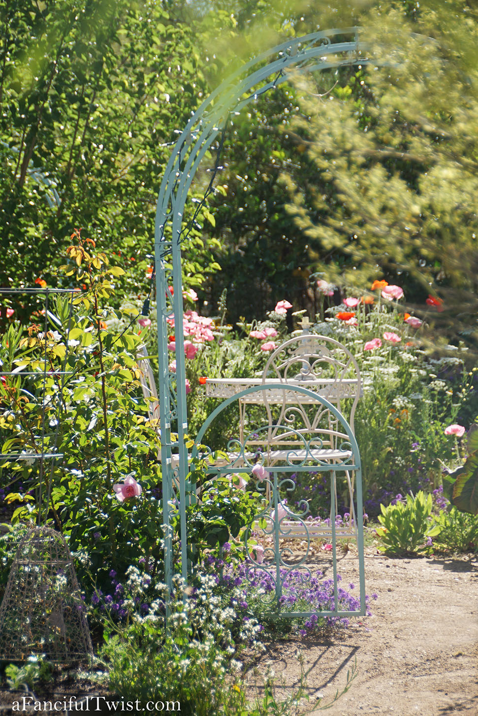 Magical garden days 37 Magical garden days 37