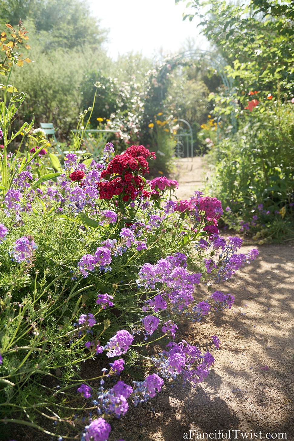 Magical garden days 42 Magical garden days 42