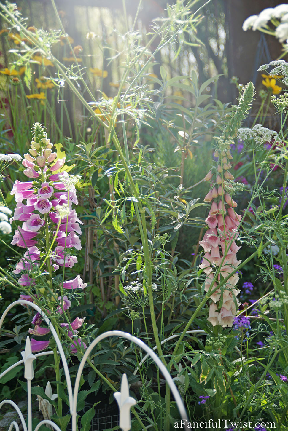 Magical garden days 33 Magical garden days 33