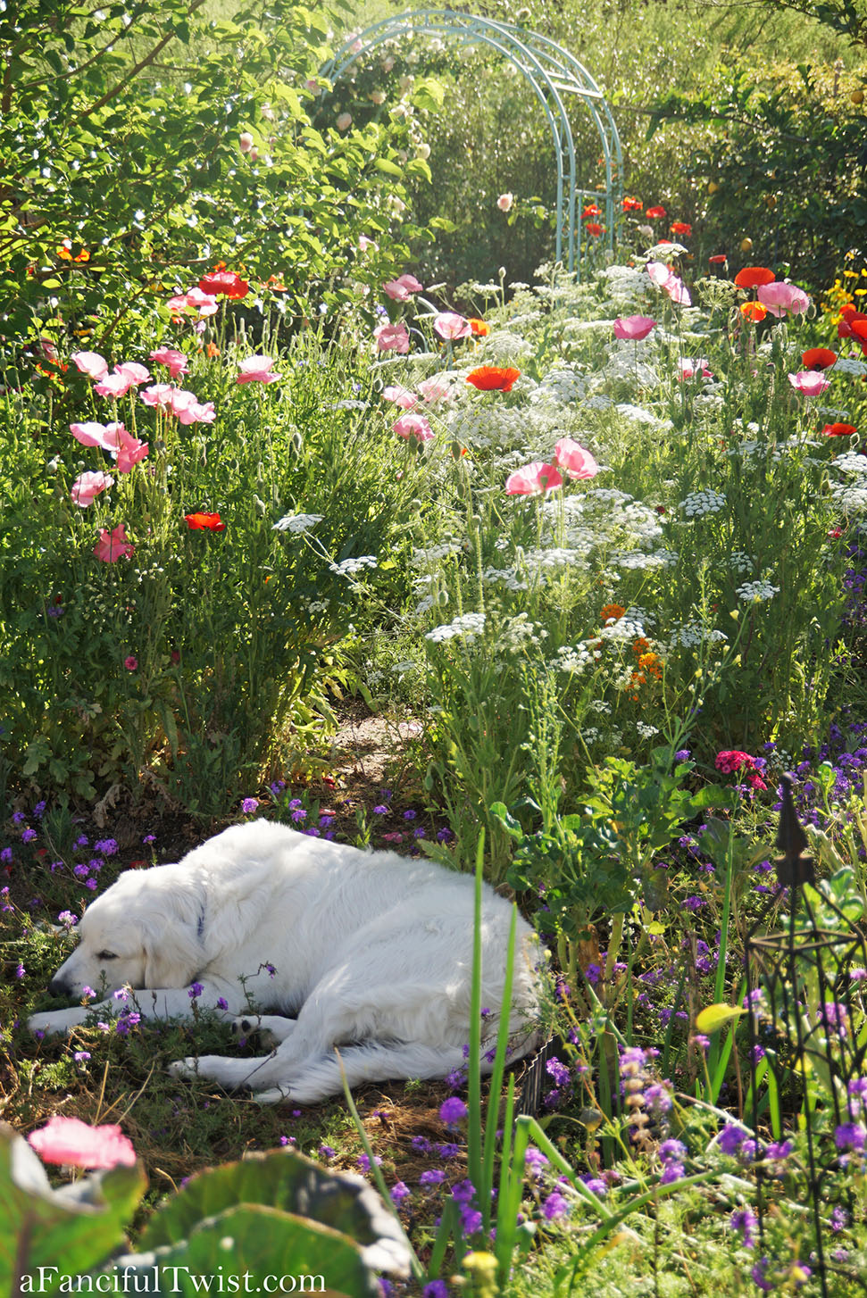 Magical garden days 16 Magical garden days 16