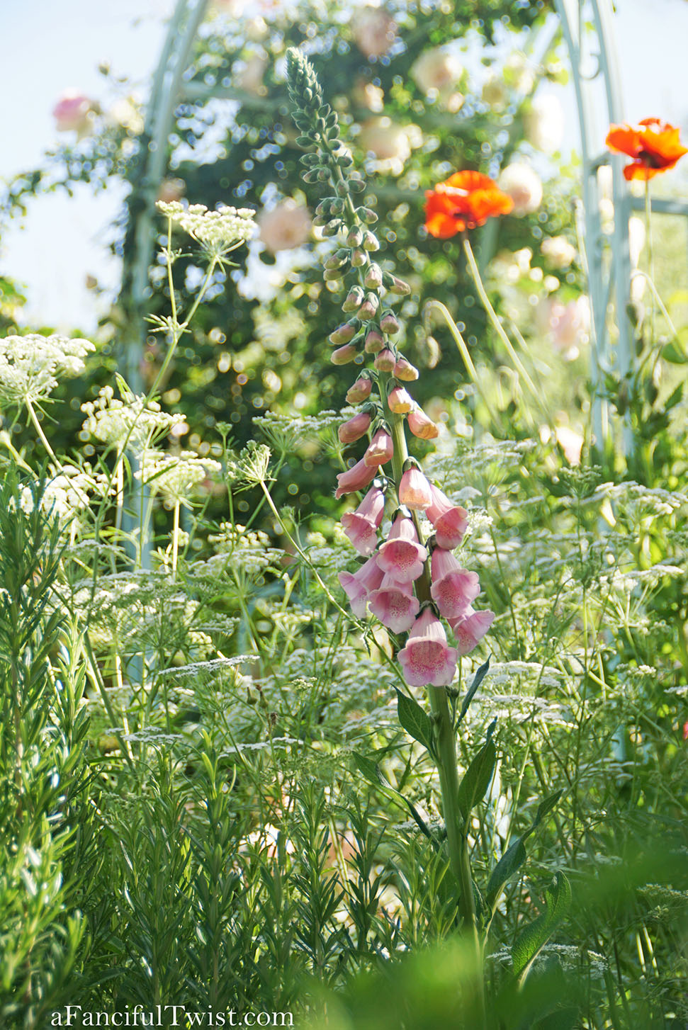 Magical garden days 32 Magical garden days 32