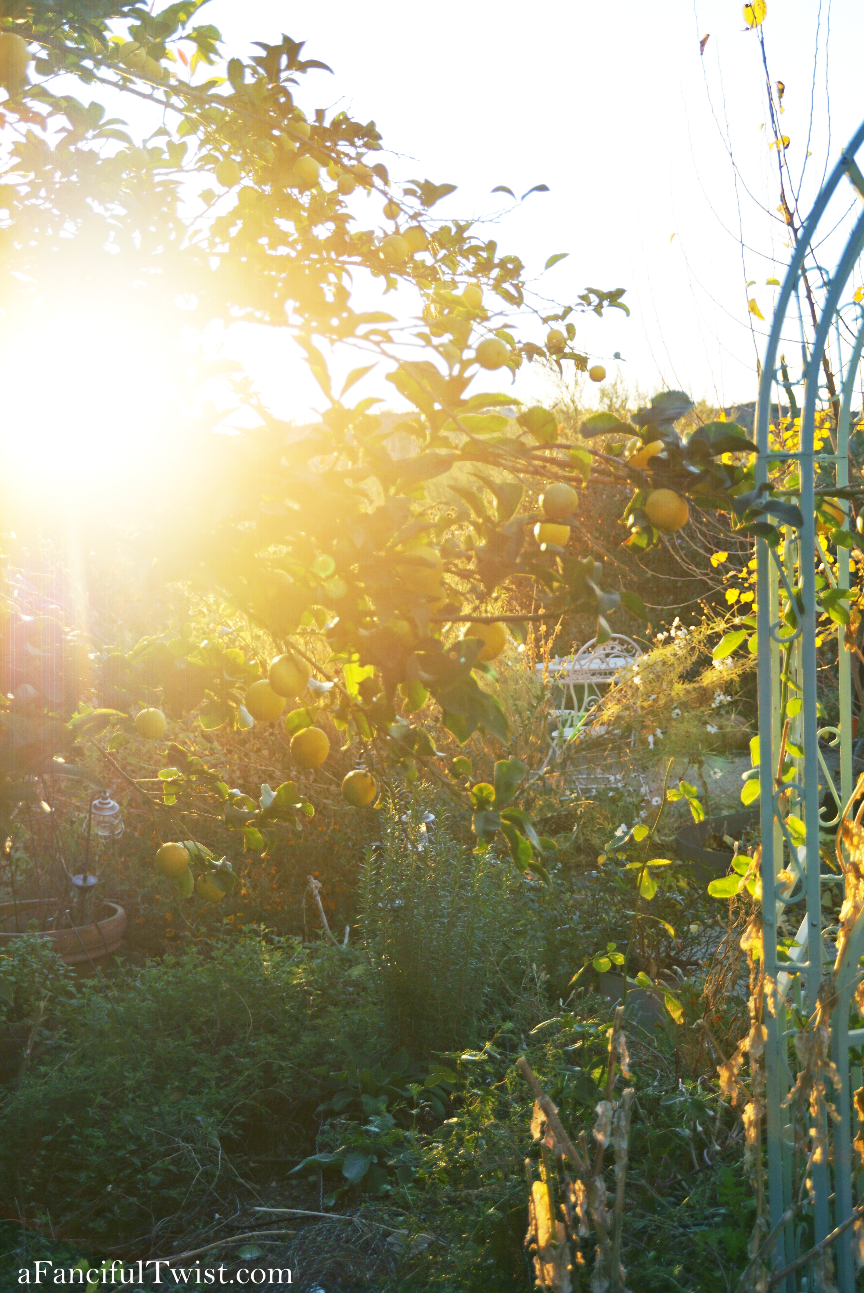 New year 4 New year 4