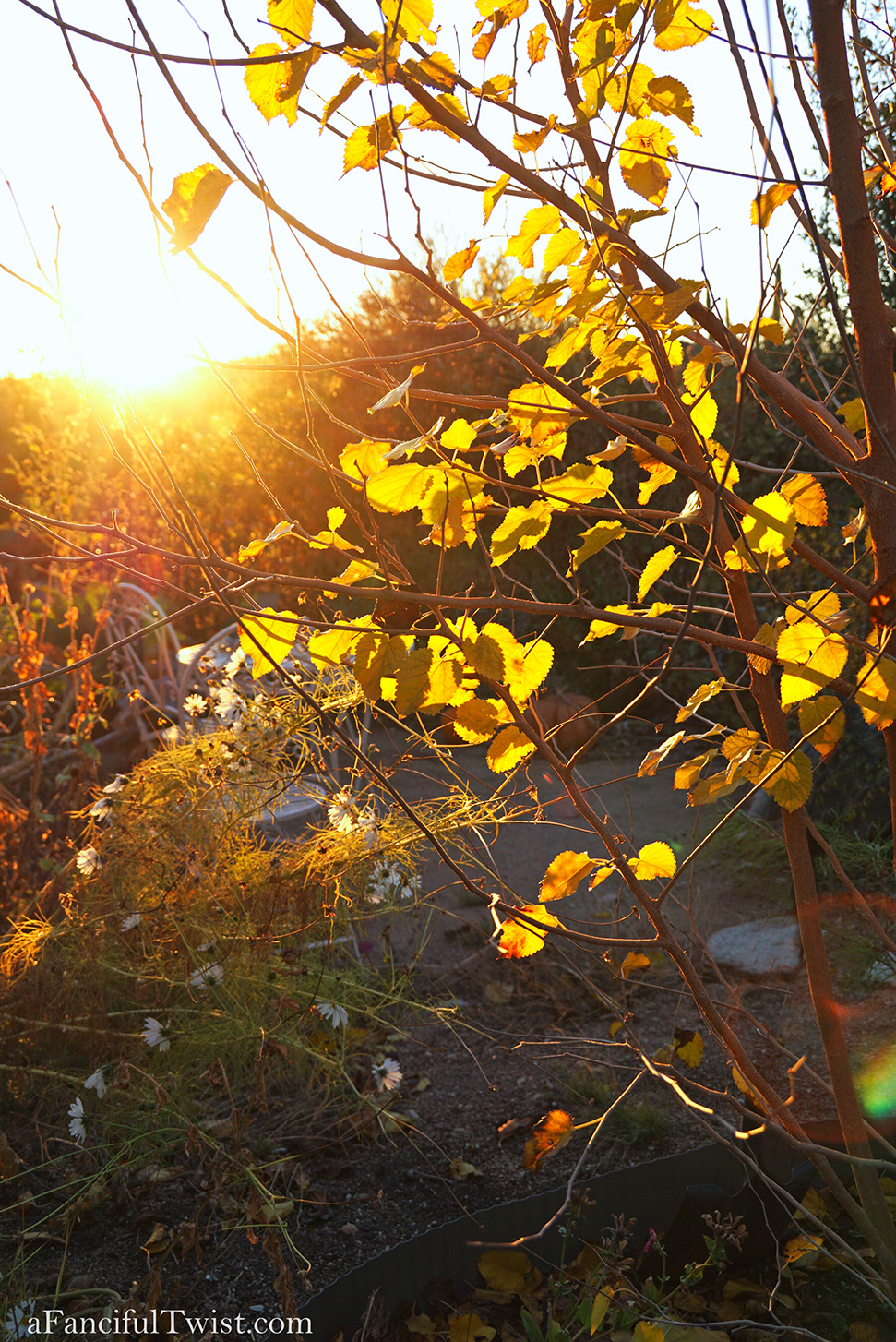 New year 6 New year 6