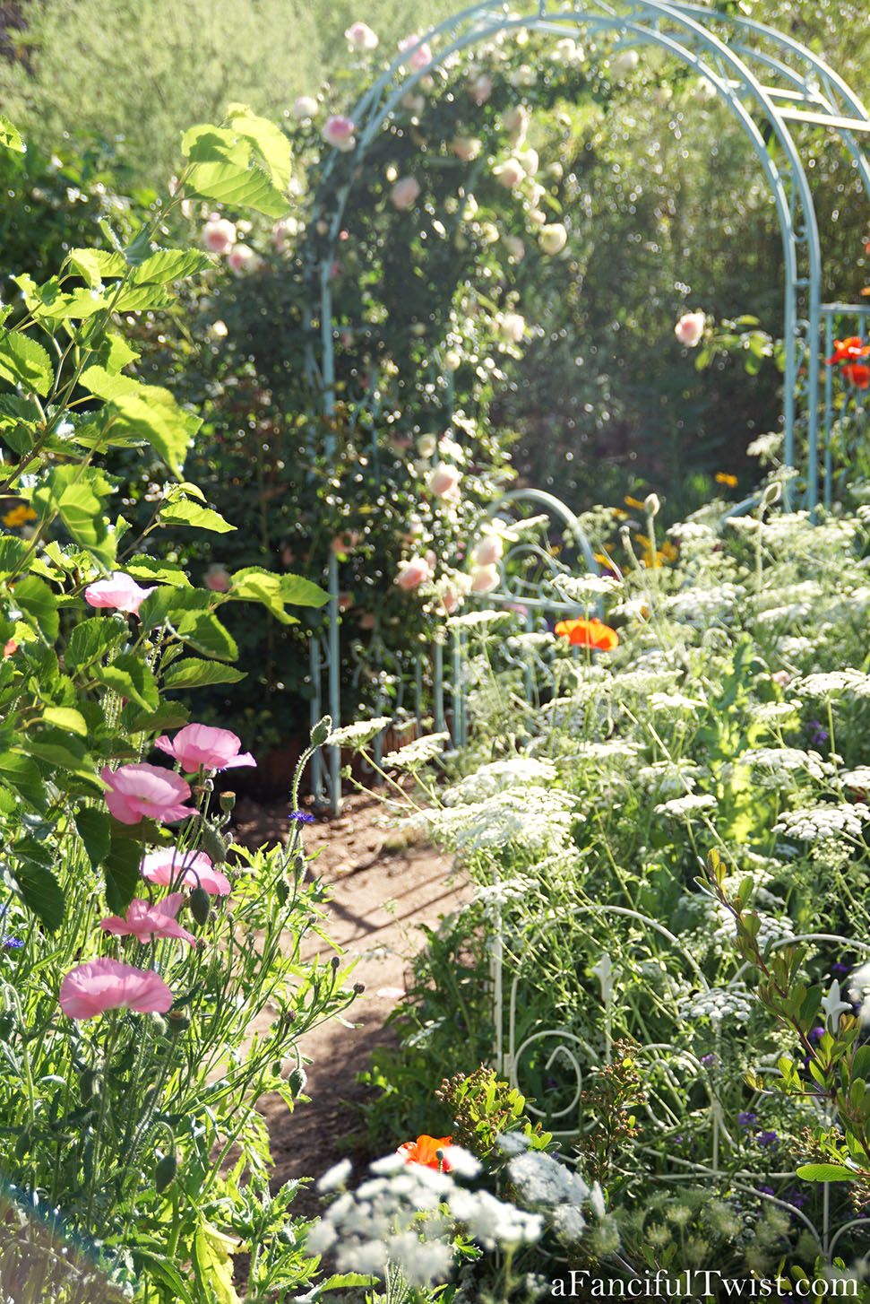 Magical garden days 21 Magical garden days 21