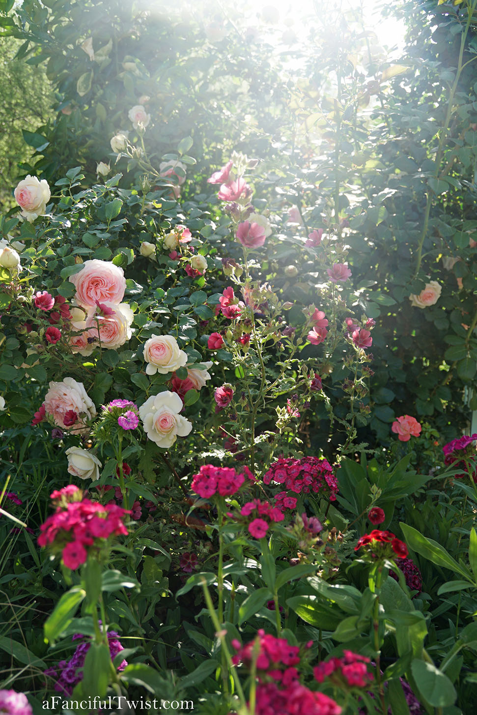 Magical garden days 26 Magical garden days 26