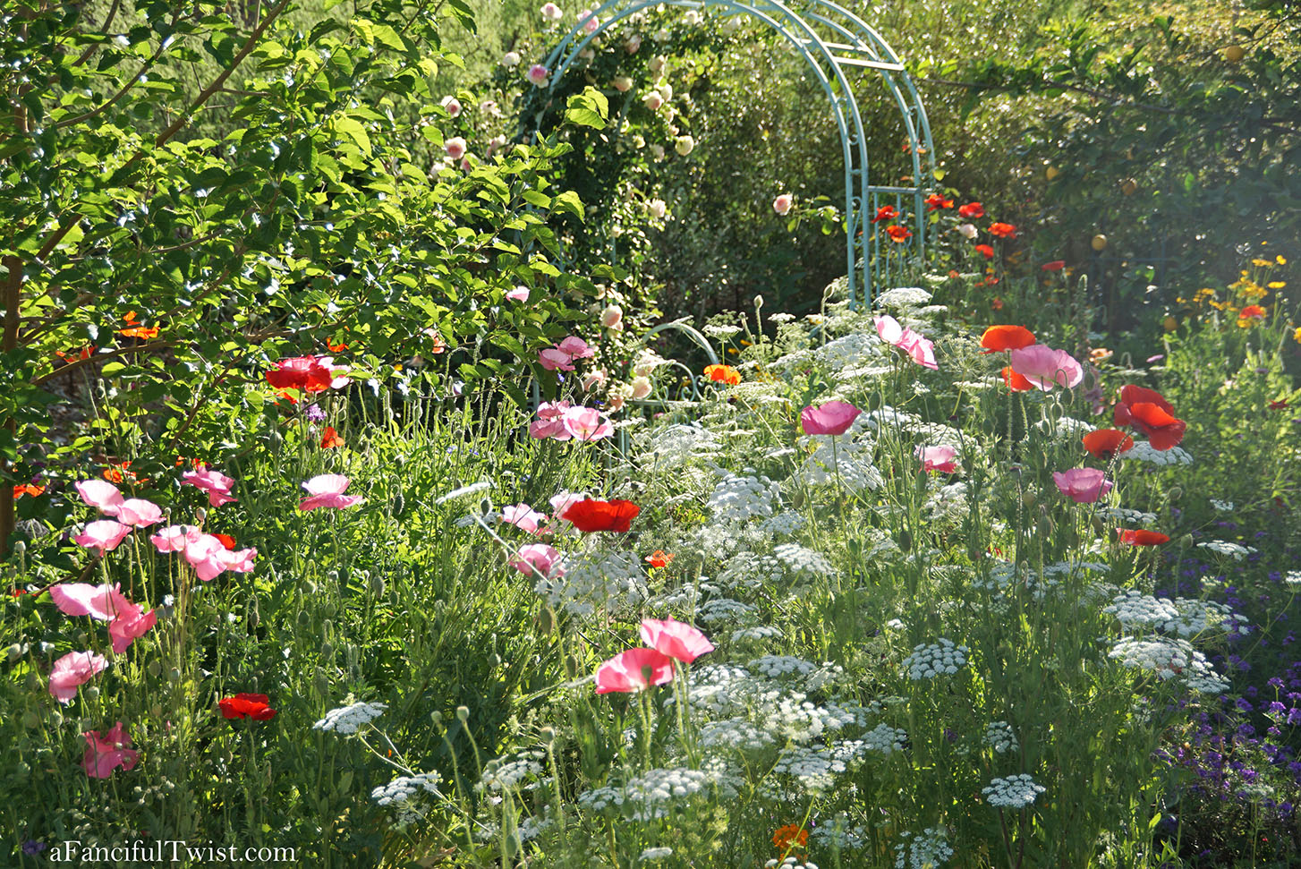 Magical garden days 11 Magical garden days 11