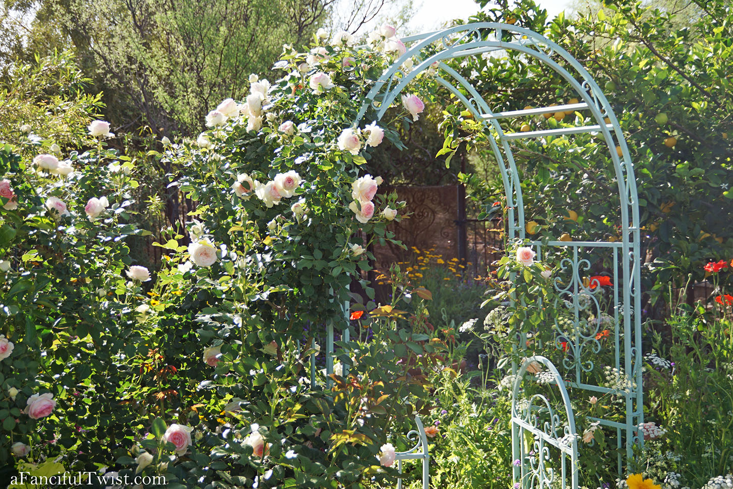 Magical garden days 23 Magical garden days 23