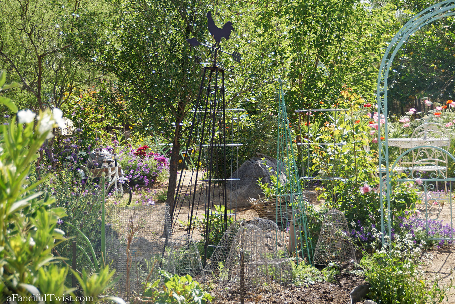 Magical garden days 38 Magical garden days 38