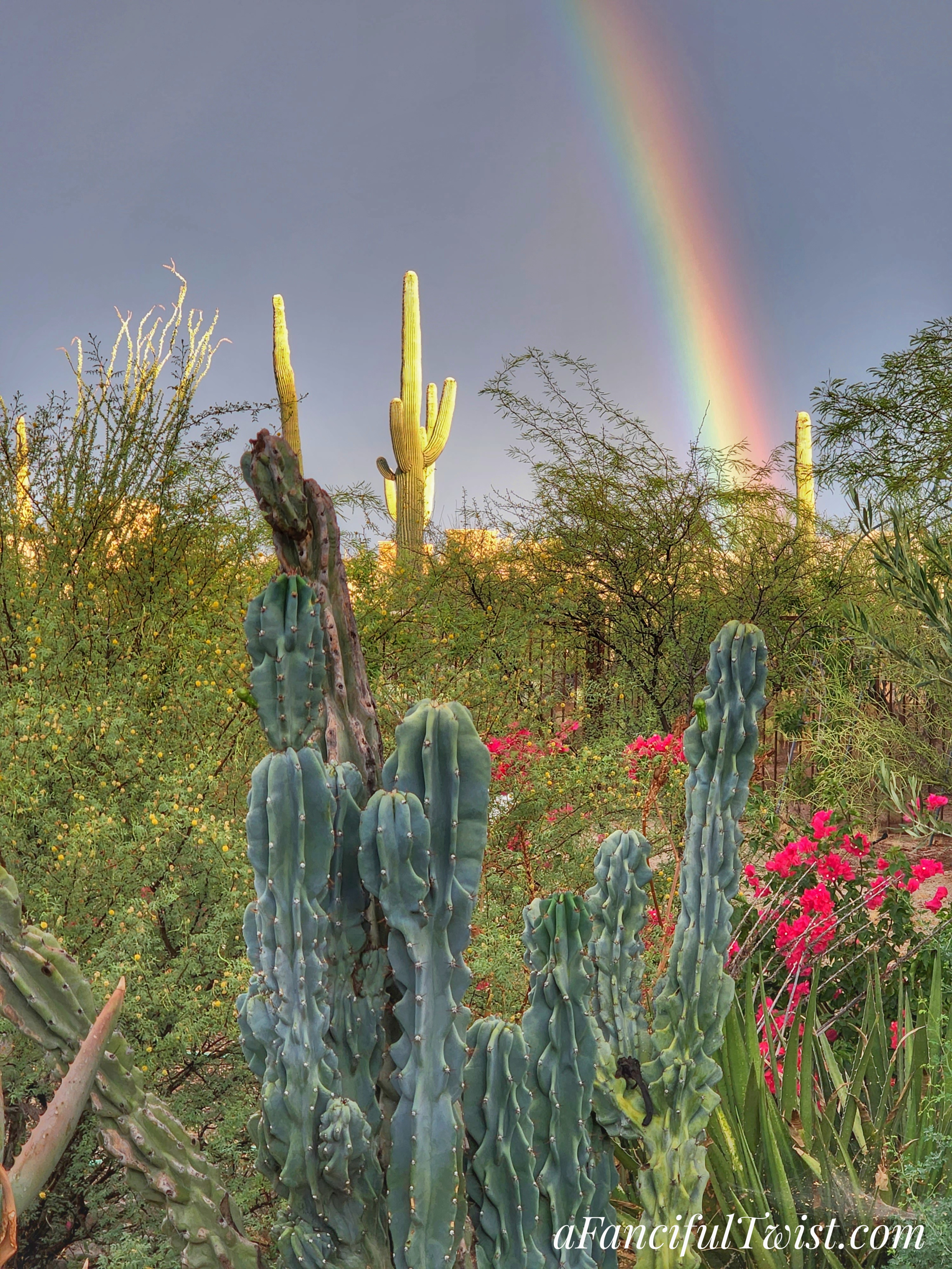 20220724_060545-01-01 20220724_060545-01-01