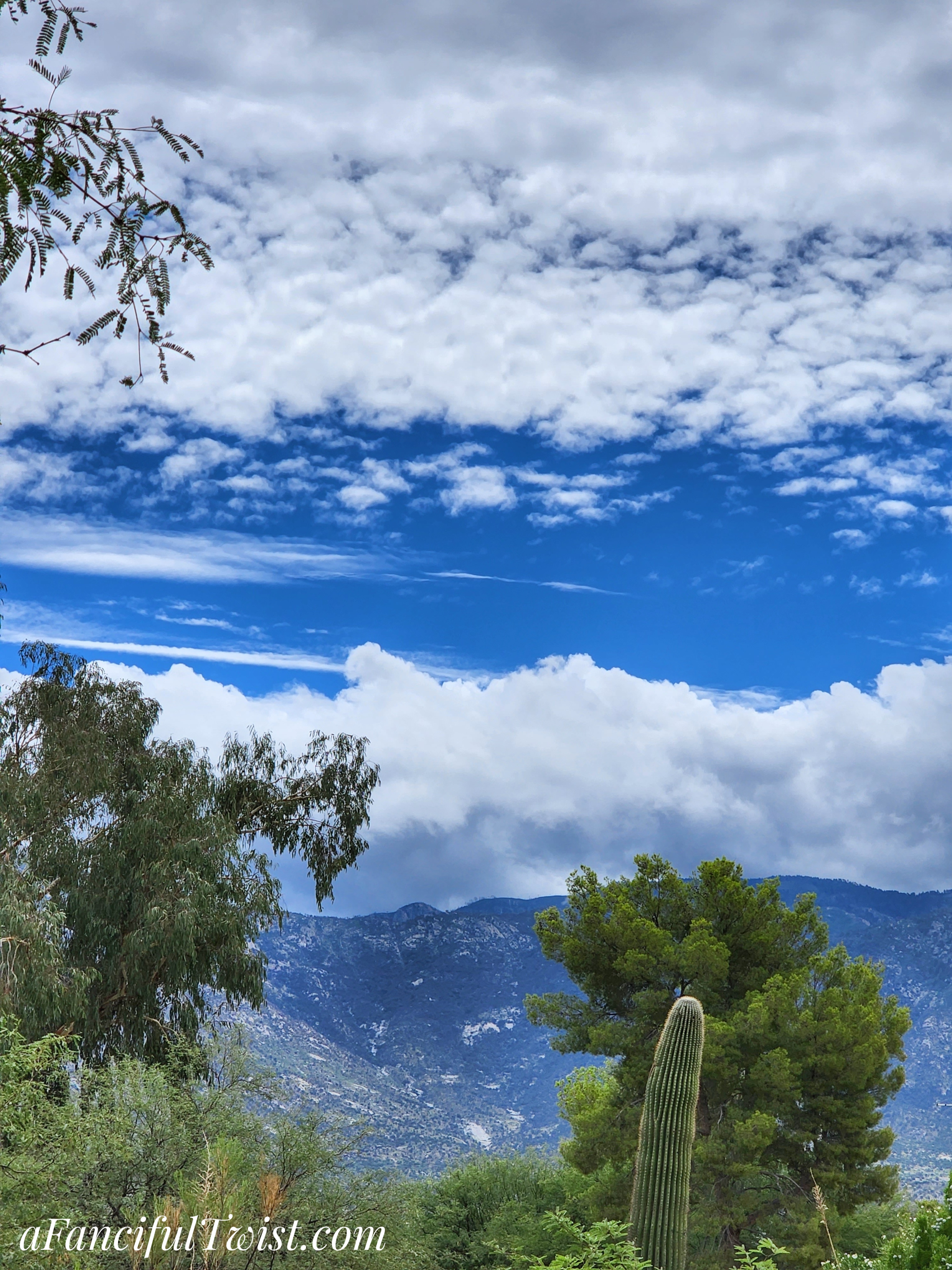 20220729_105339-01-01 20220729_105339-01-01