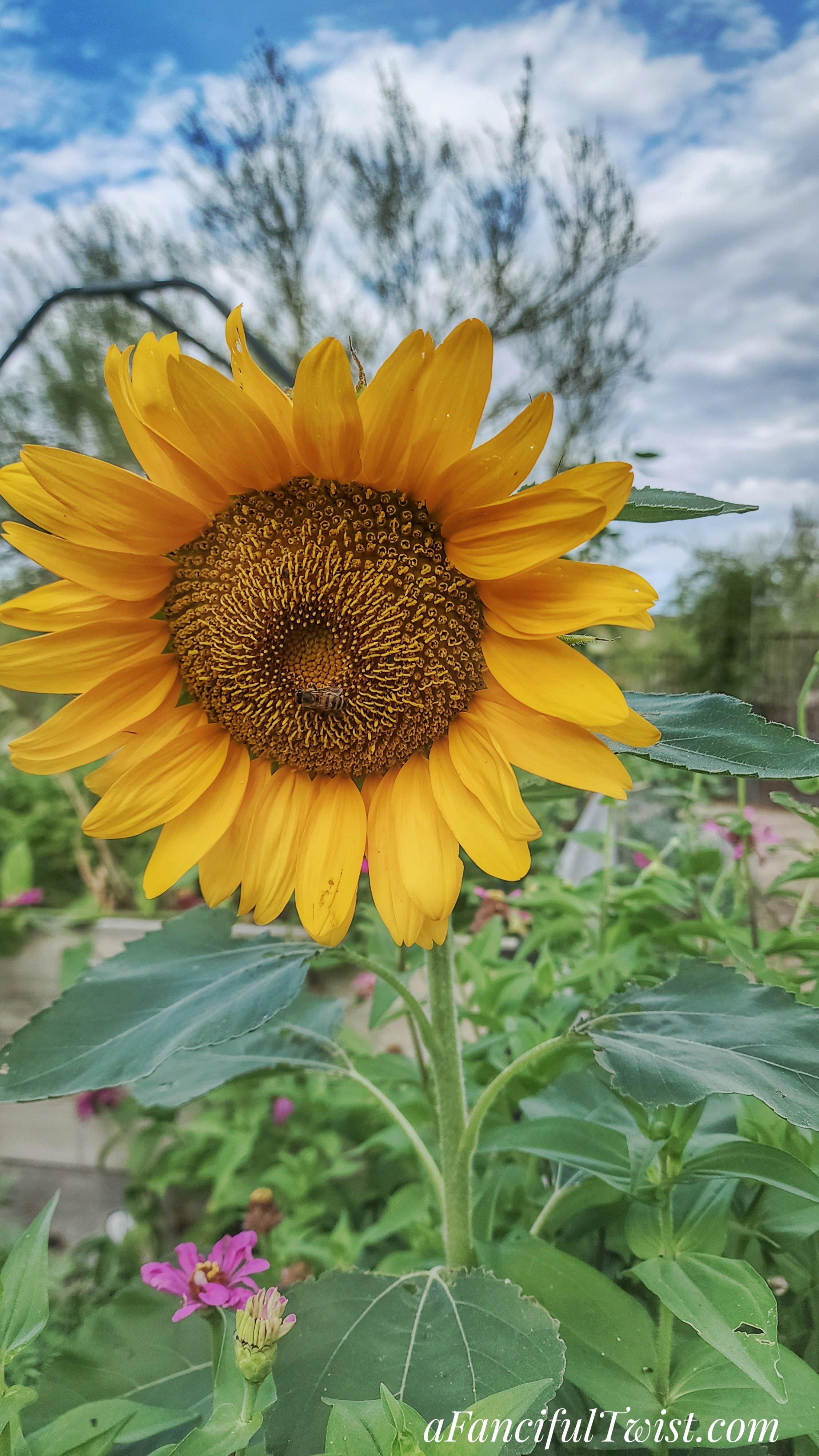 20220723_075911-02-01 20220723_075911-02-01