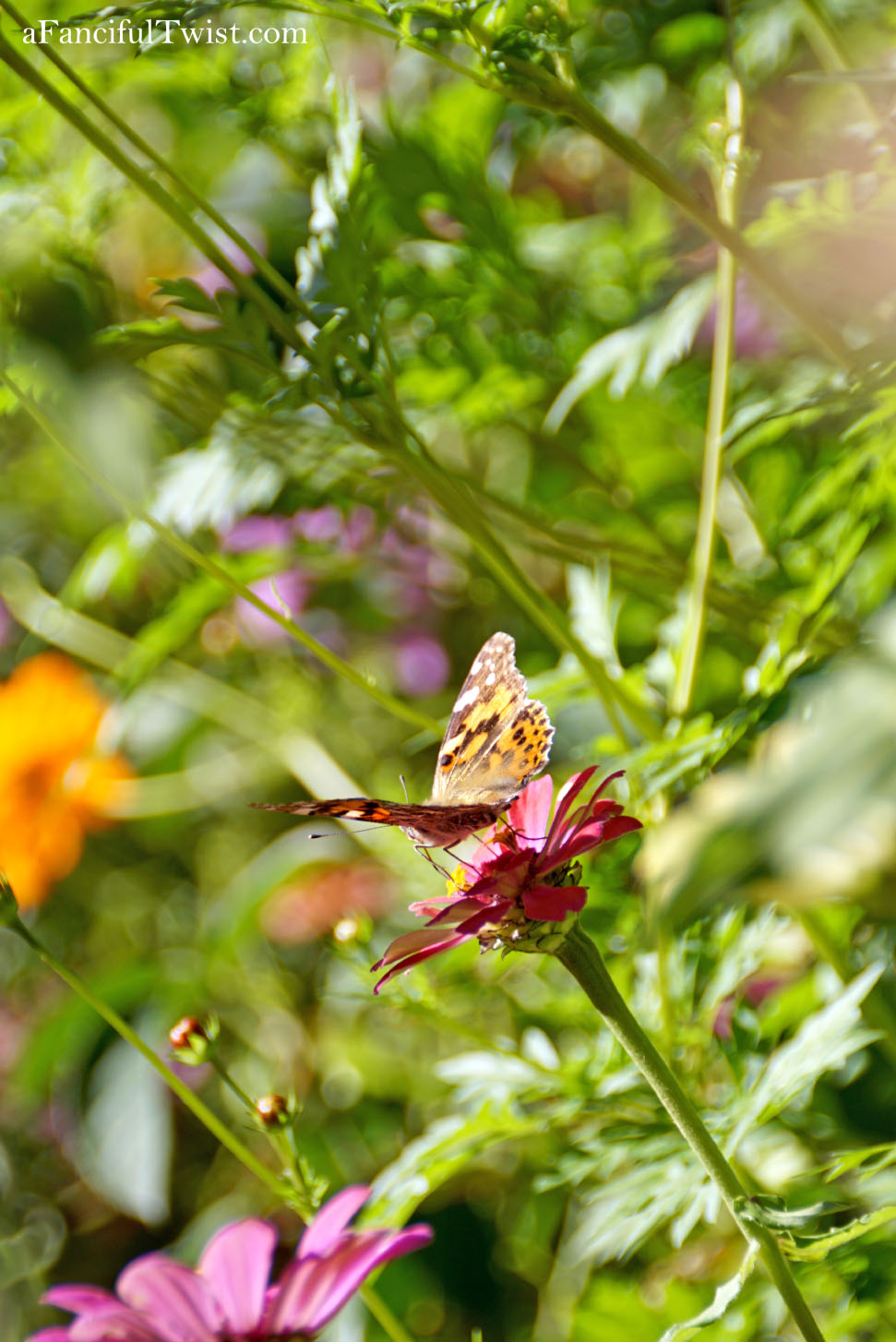 In the autumn October garden 2 In the autumn October garden 2