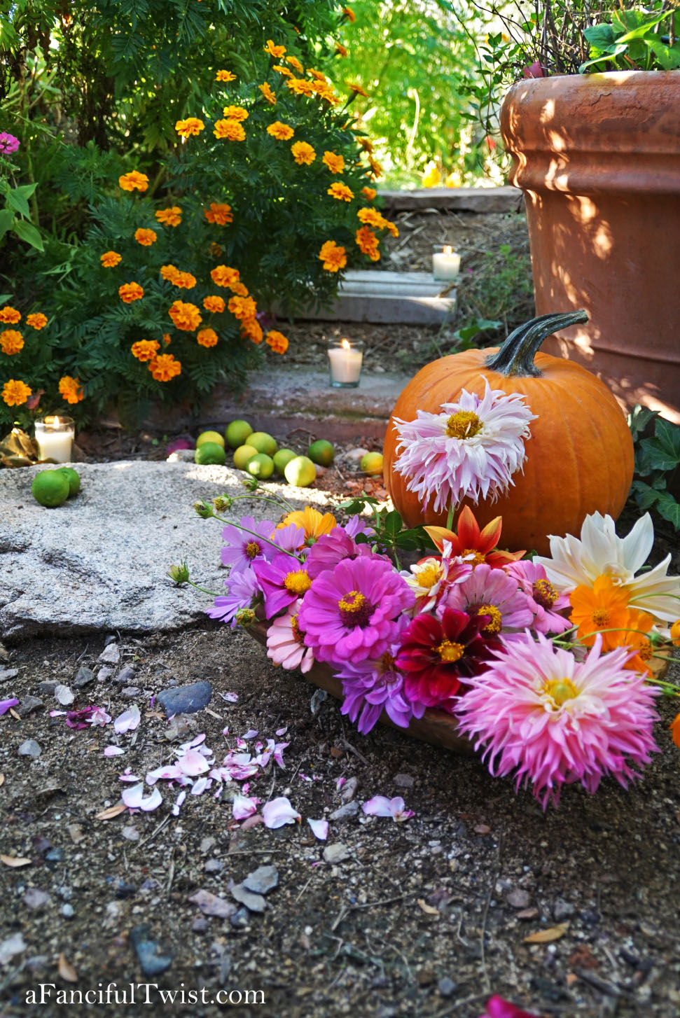 In the autumn October garden 28 In the autumn October garden 28