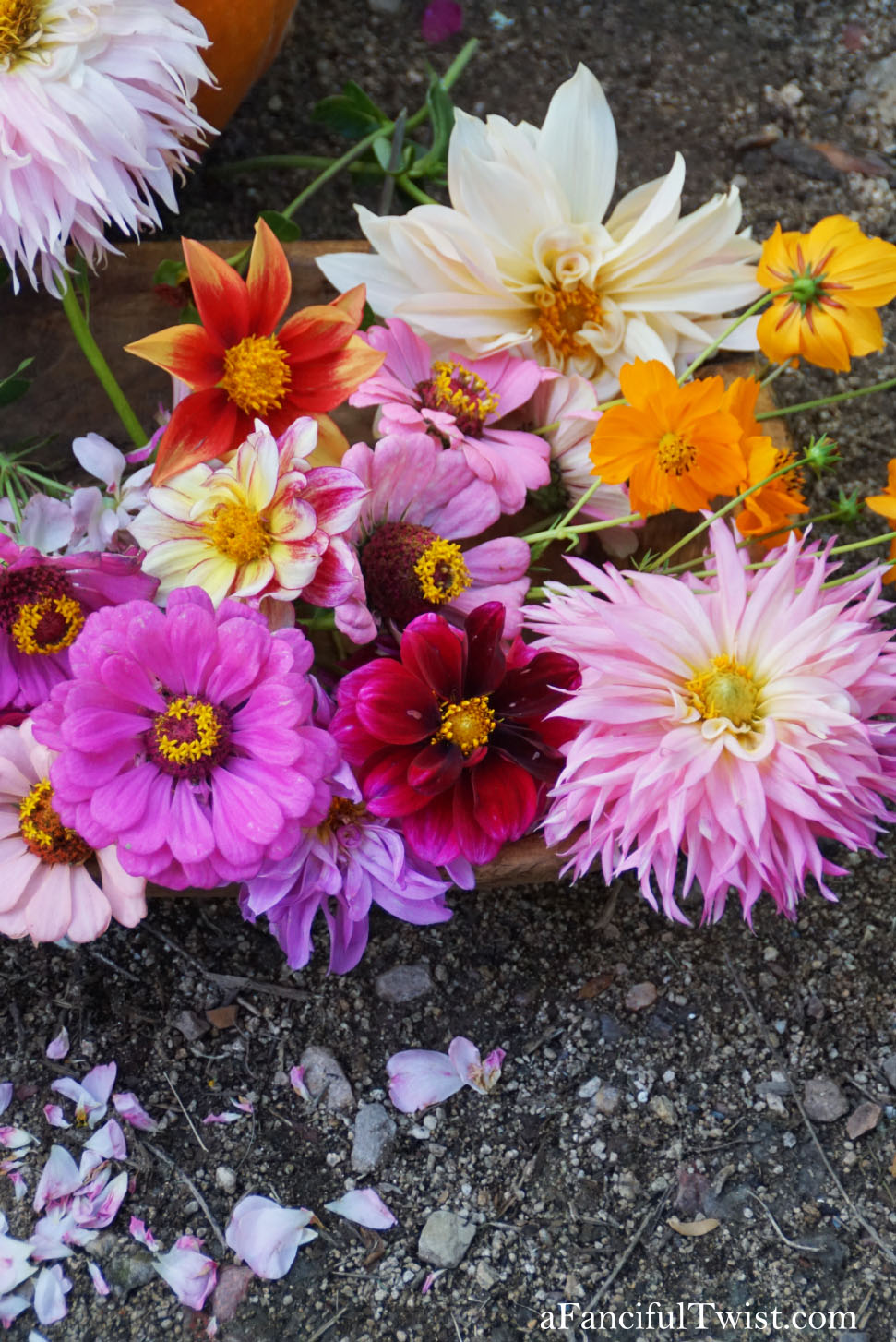 In the autumn October garden 21 In the autumn October garden 21