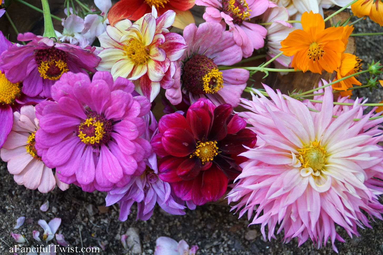 In the autumn October garden 26 In the autumn October garden 26