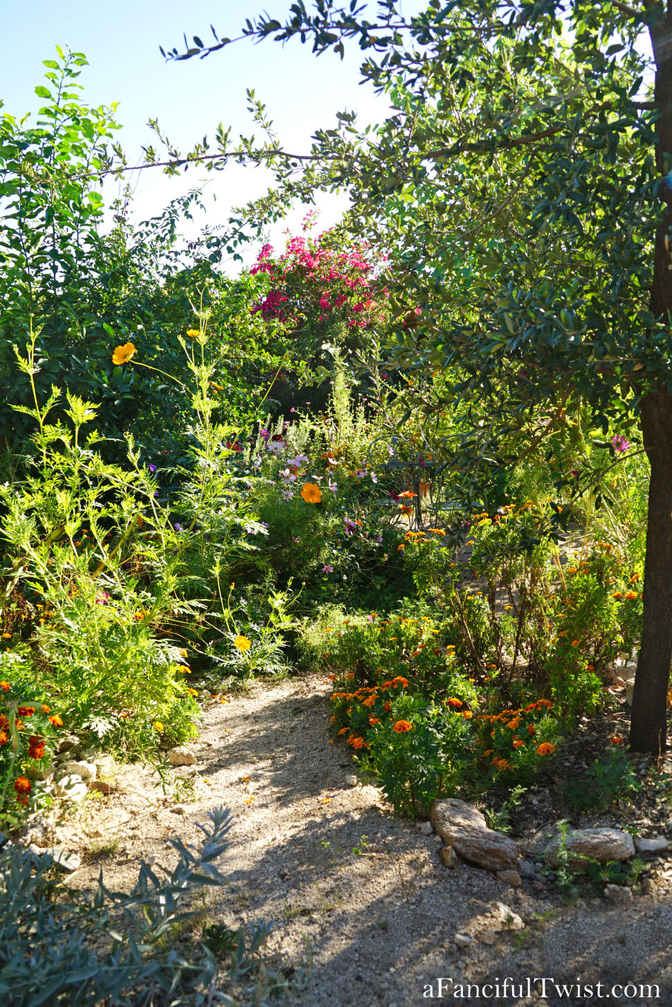 In the autumn October garden 7 In the autumn October garden 7