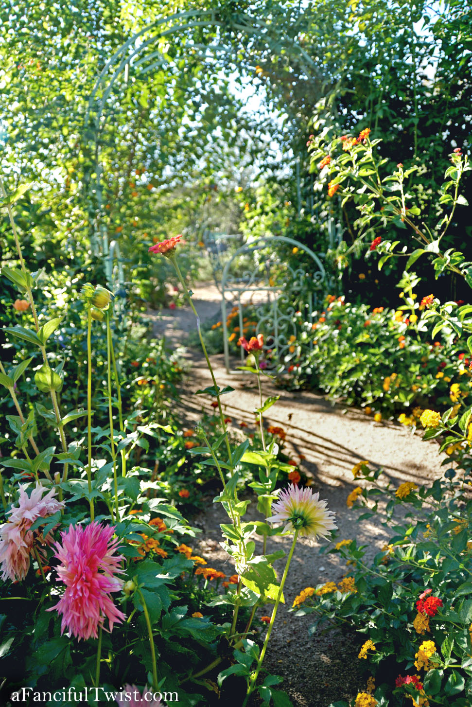 In the autumn October garden 17 In the autumn October garden 17